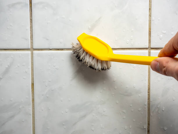 Best Mold Testing  in Occidental, CA