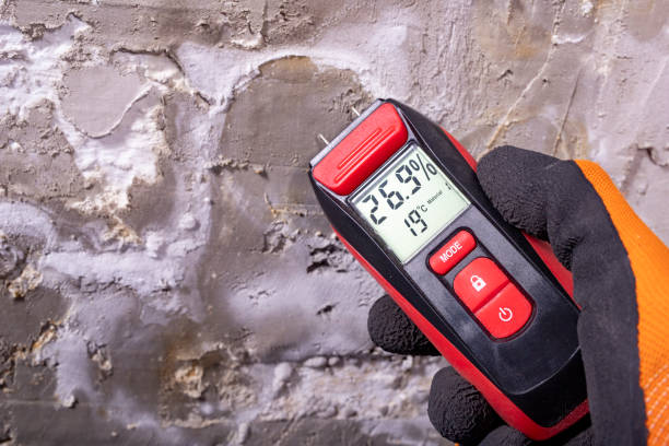 Best Attic Mold Removal  in Occidental, CA